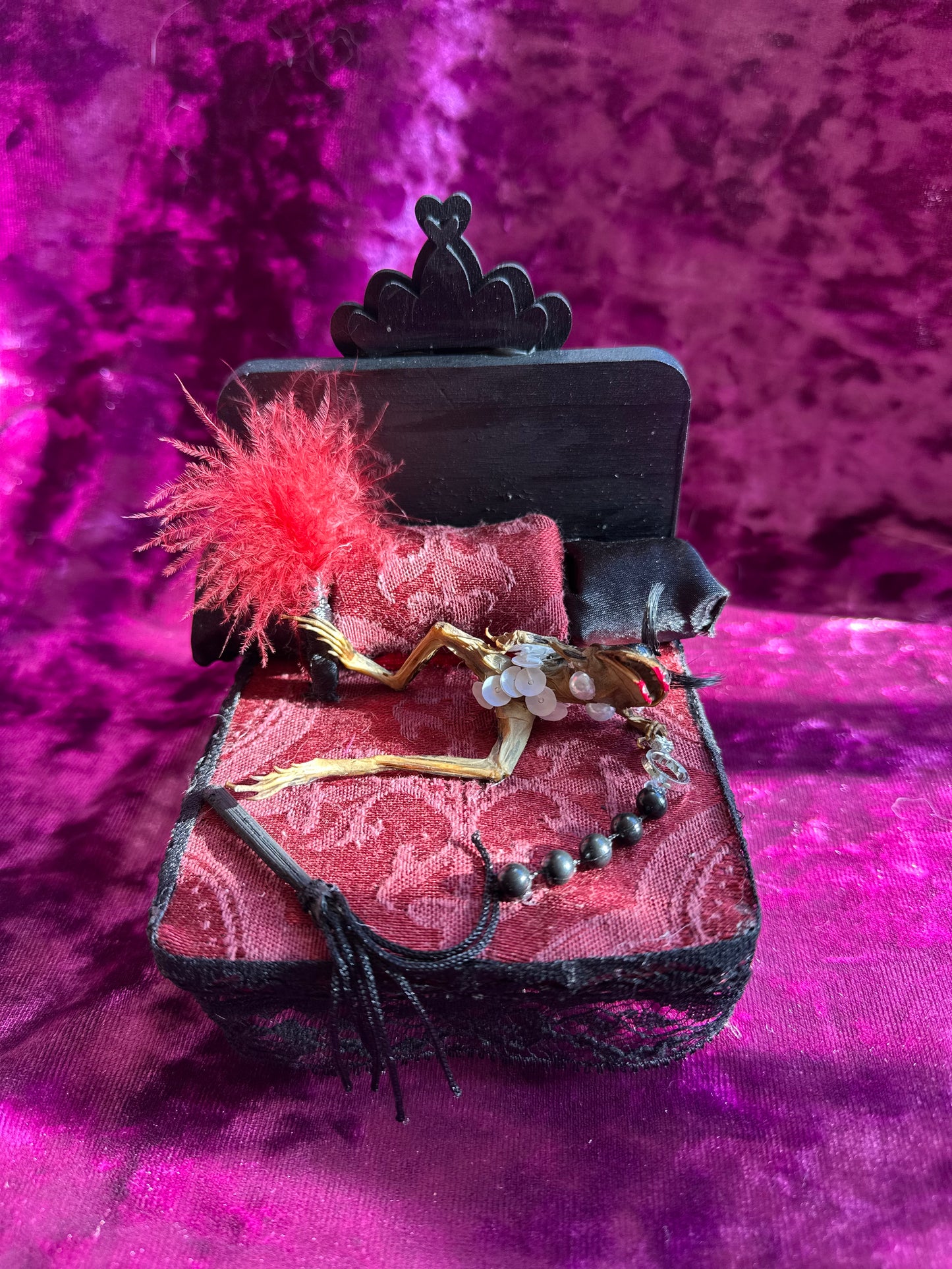 Horny frog taxidermy