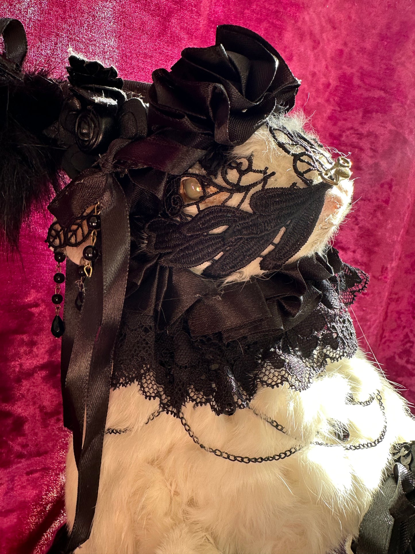 Goth circus bunny taxidermy