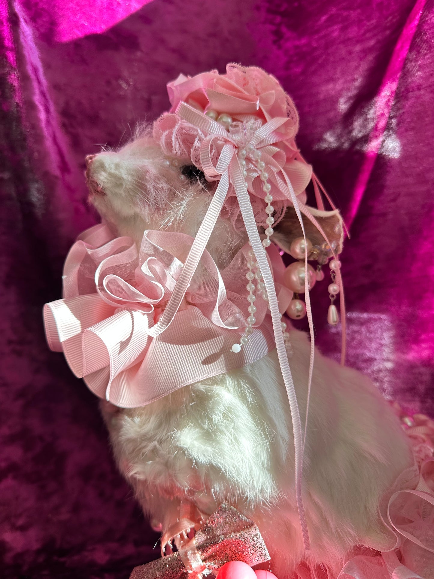 Pink circus bunny taxidermy