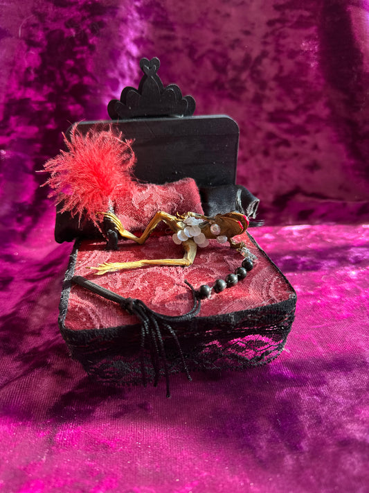 Horny frog taxidermy