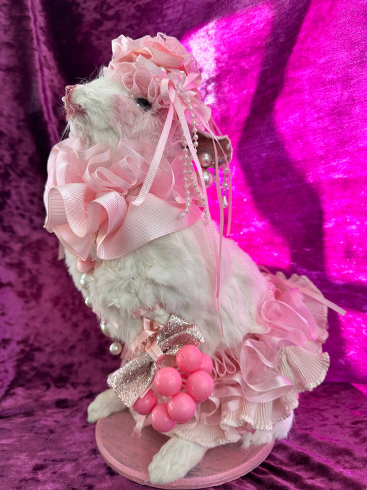 Pink circus bunny taxidermy