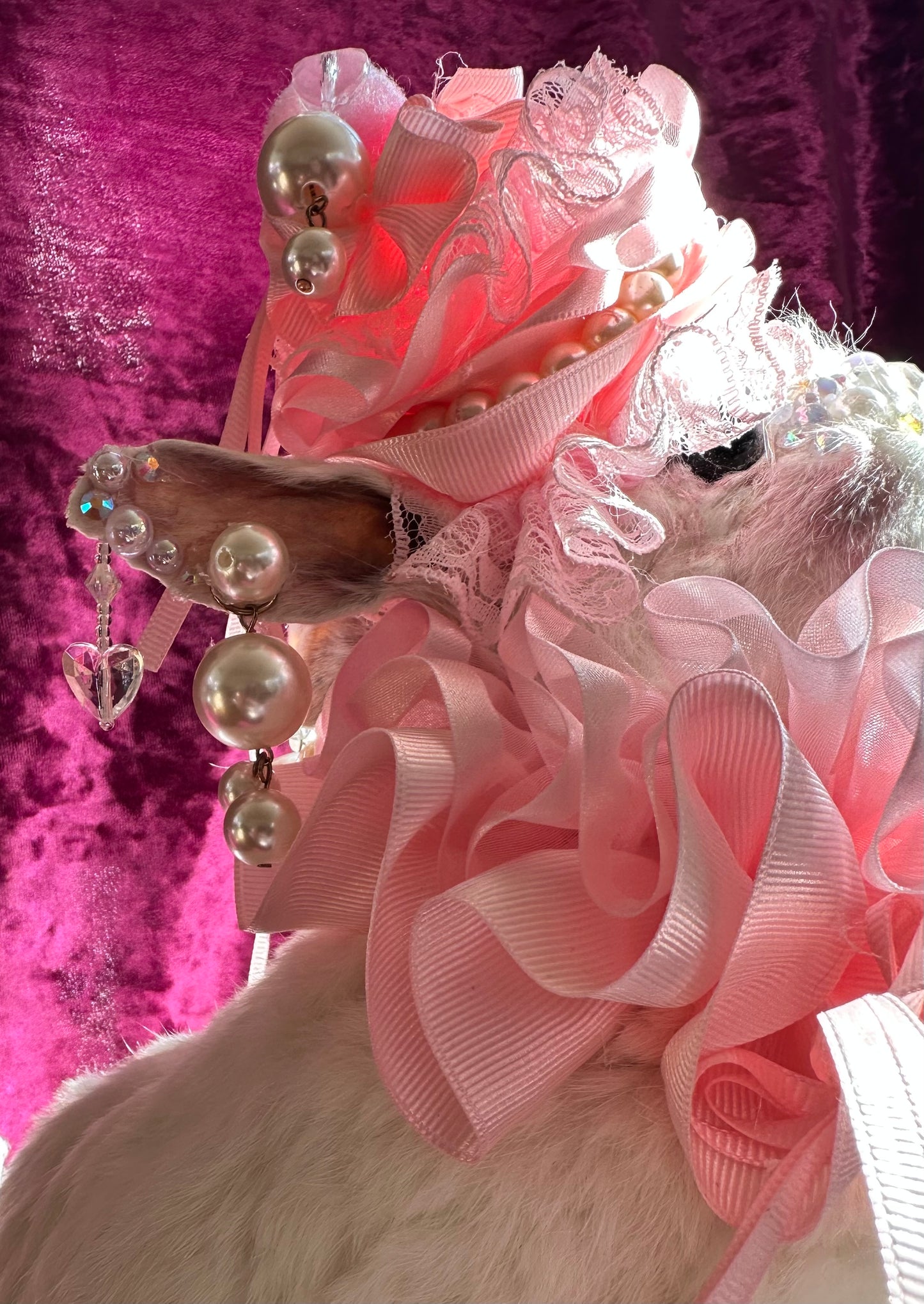 Pink circus bunny taxidermy