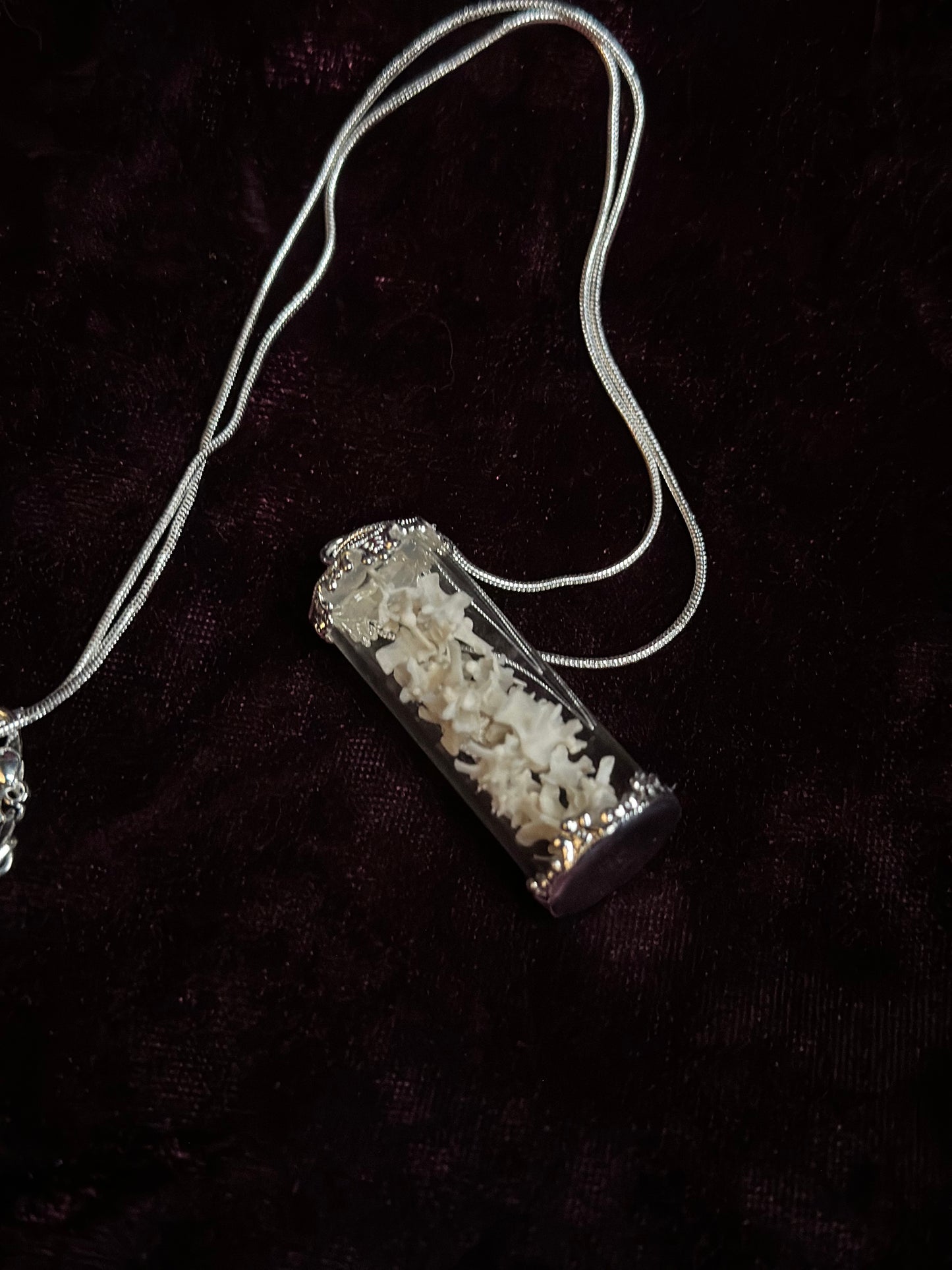 Snake vertebrae vial necklace