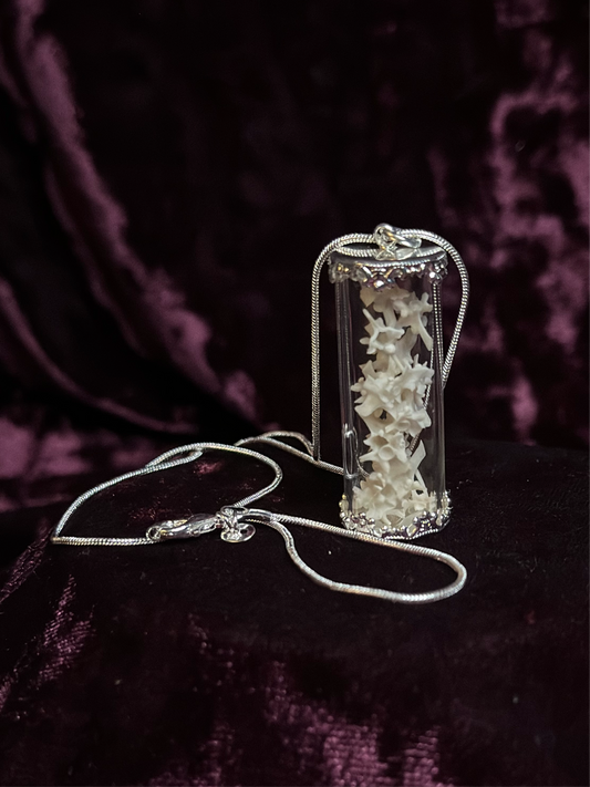 Snake vertebrae vial necklace